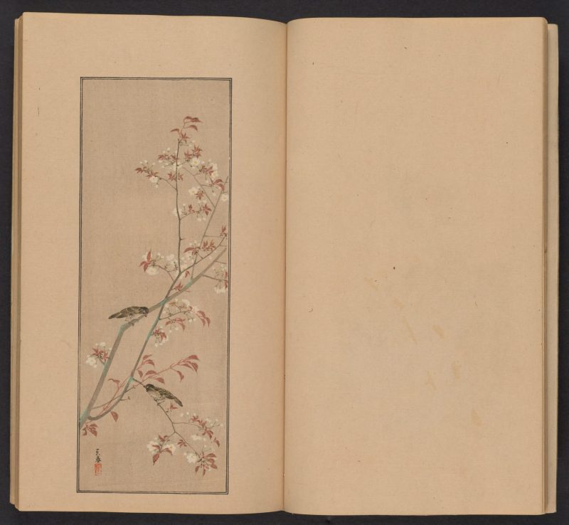 南原作二郎  #10