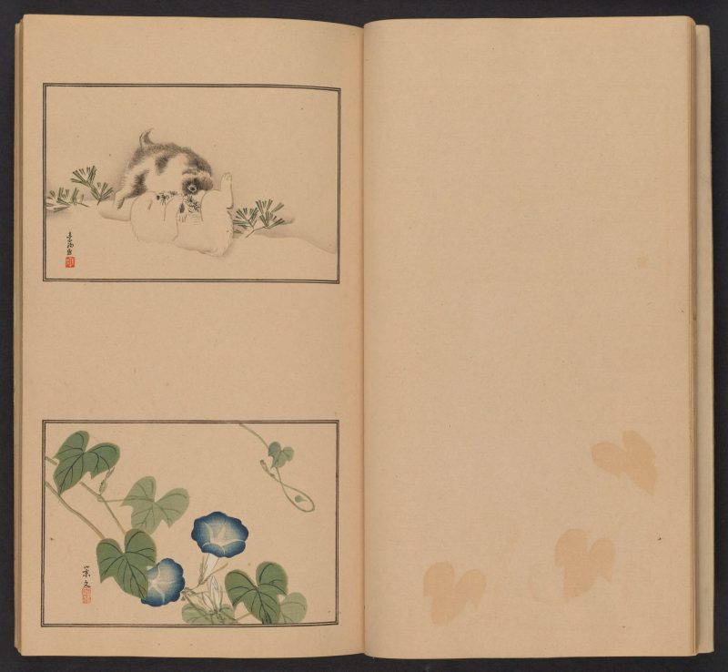 南原作二郎  #11