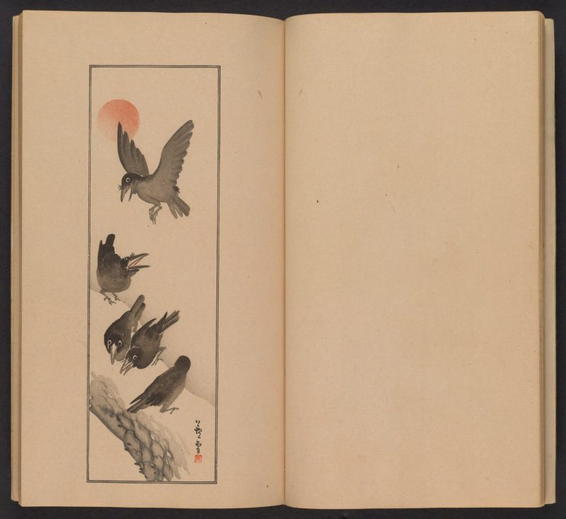 南原作二郎  #13