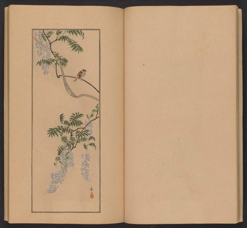 南原作二郎  #14