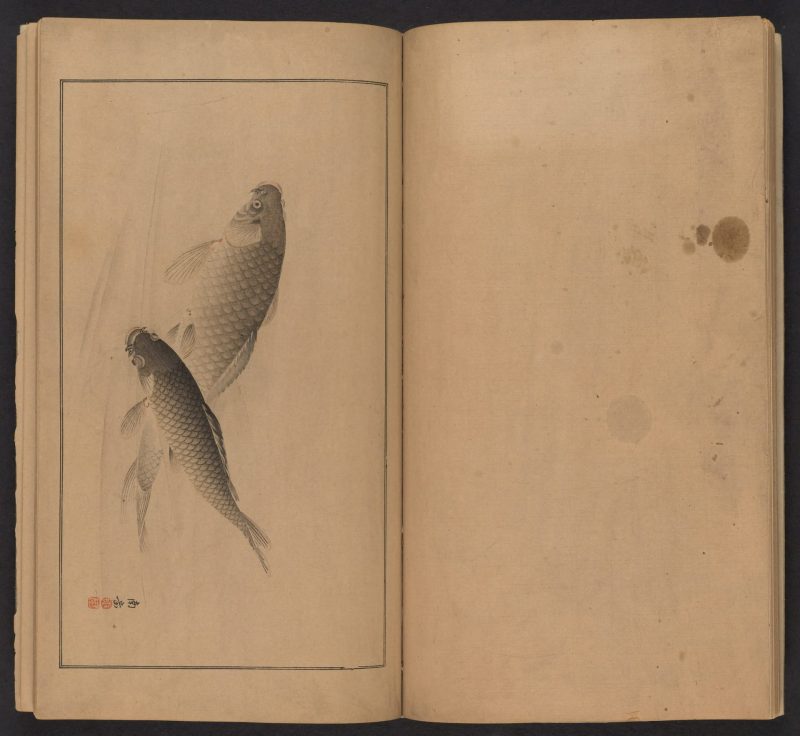 南原作二郎  #19