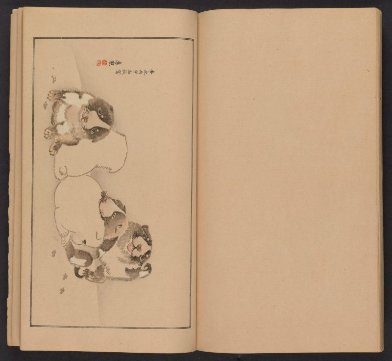 南原作二郎  #23