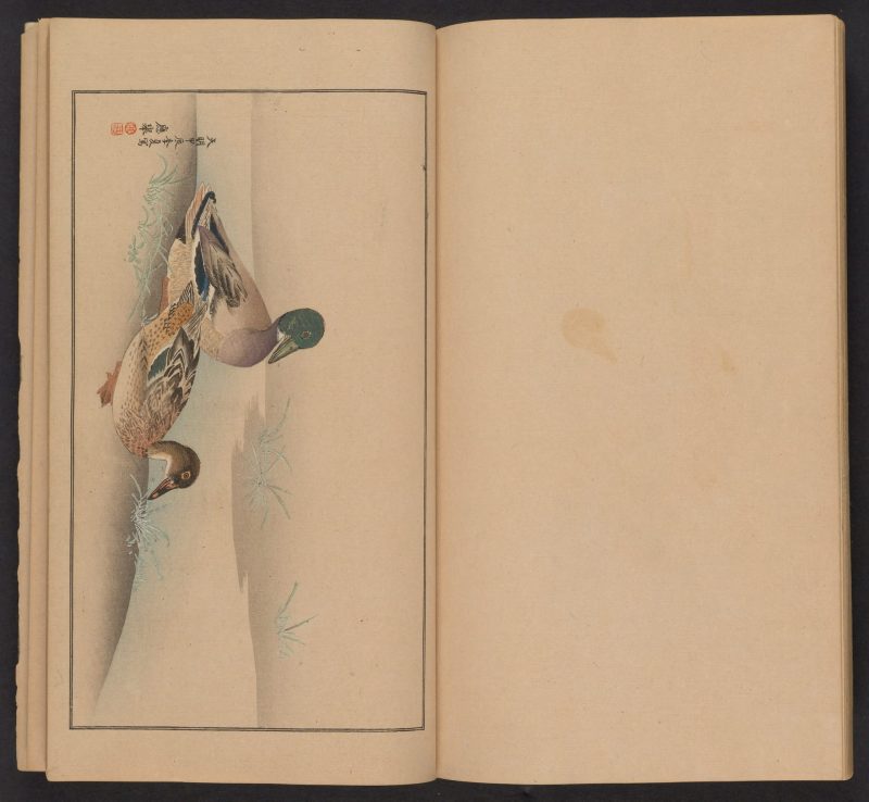 南原作二郎  #24