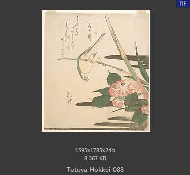 鱼屋北溪