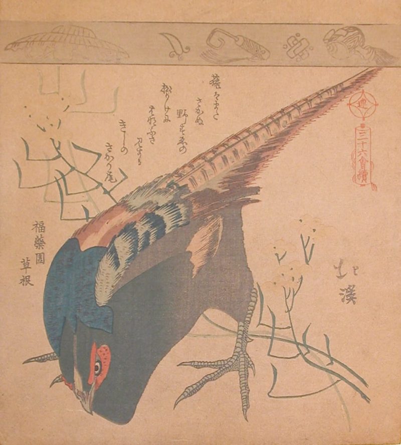 鱼屋北溪 #97
