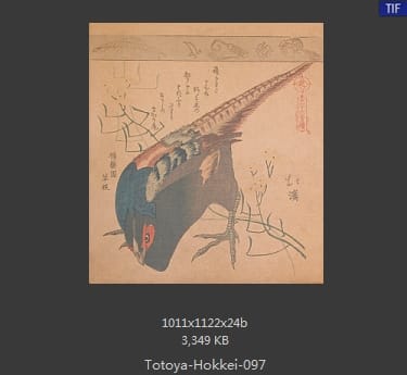 鱼屋北溪