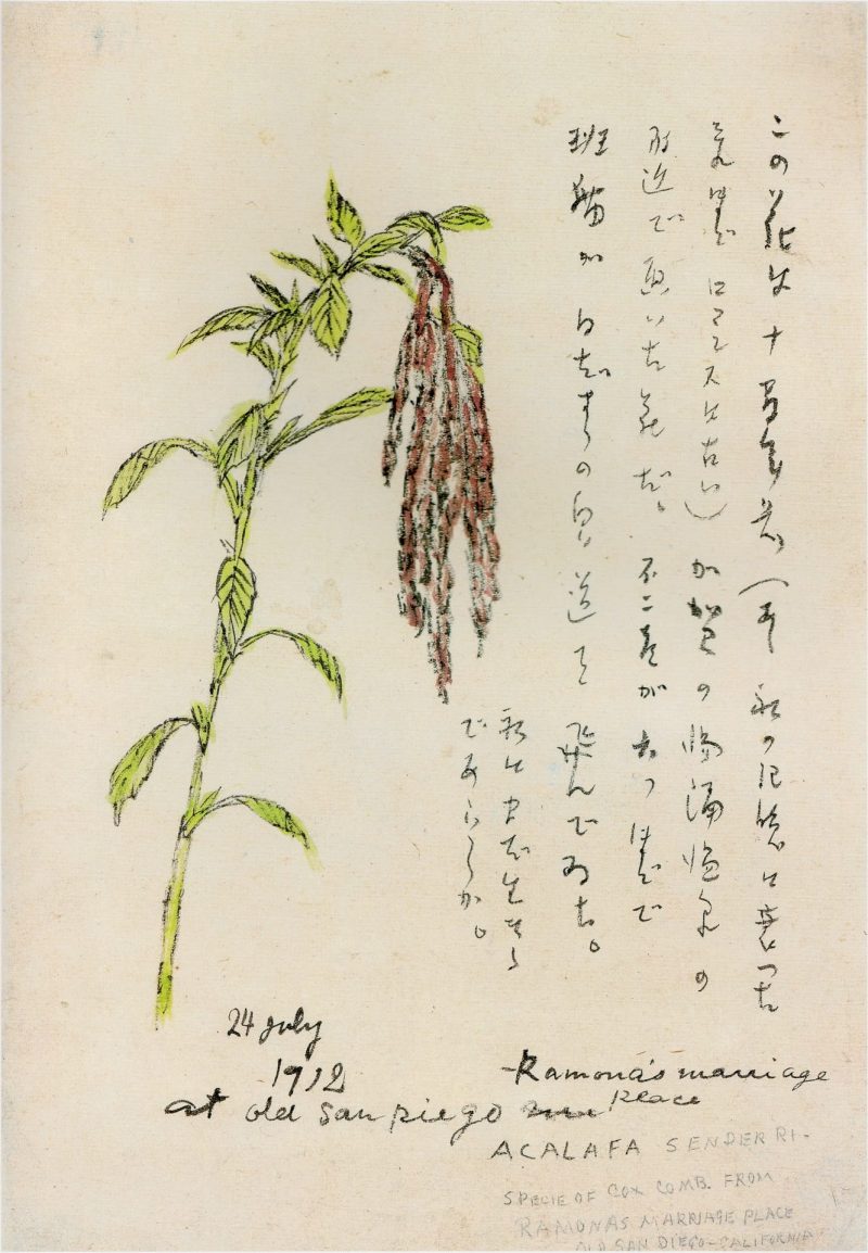 竹久梦二 #152