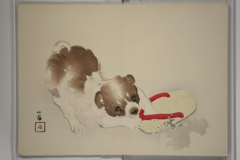 竹内栖凤  #06