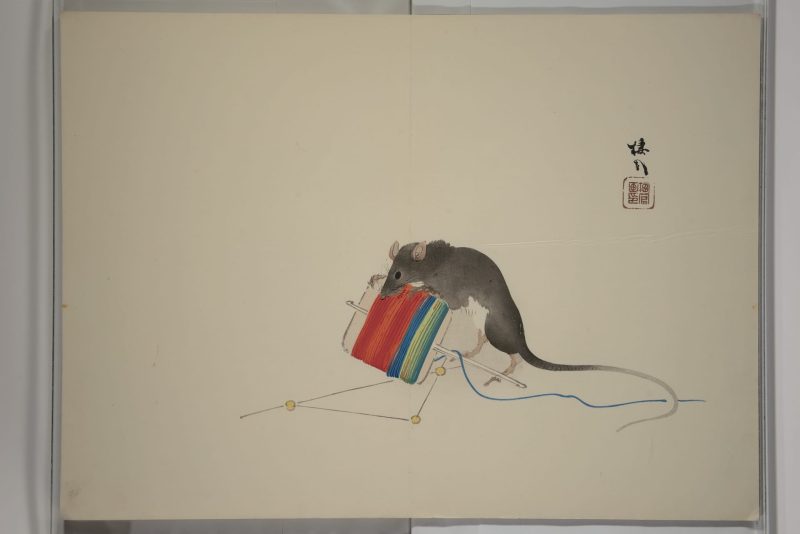 竹内栖凤  #09