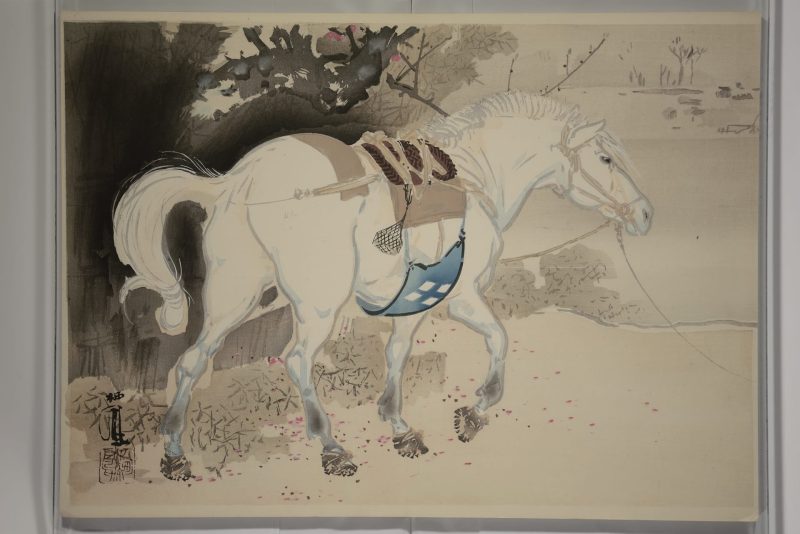 竹内栖凤  #15