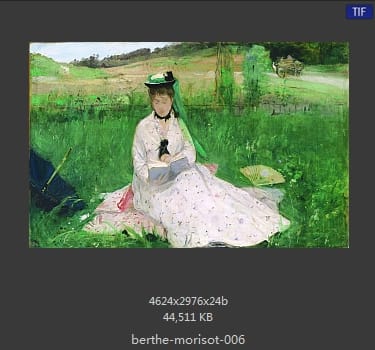 贝尔特·莫里索