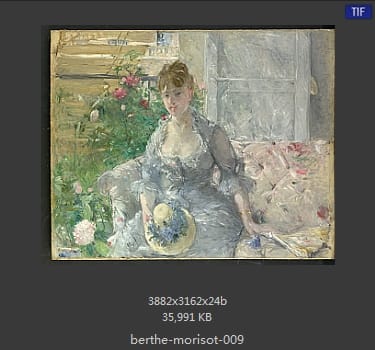 贝尔特·莫里索