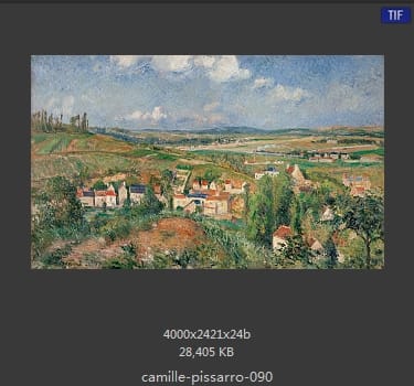 卡米耶·毕沙罗