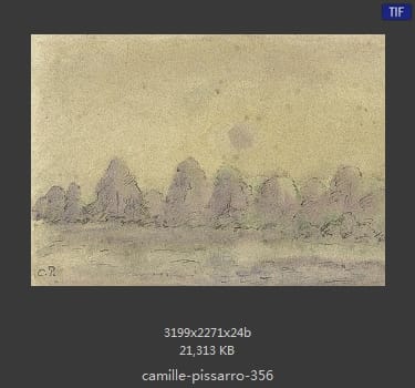 卡米耶·毕沙罗