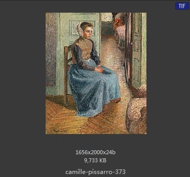 卡米耶·毕沙罗