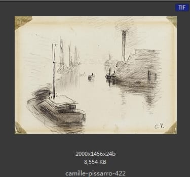 卡米耶·毕沙罗