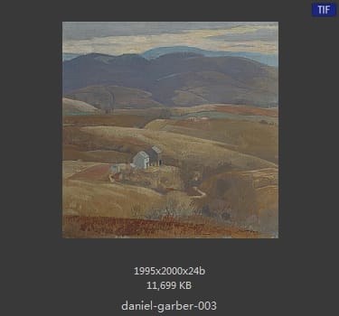 丹尼尔·盖博（Daniel Garber）