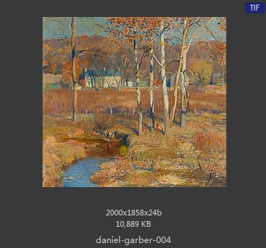 丹尼尔·盖博（Daniel Garber）