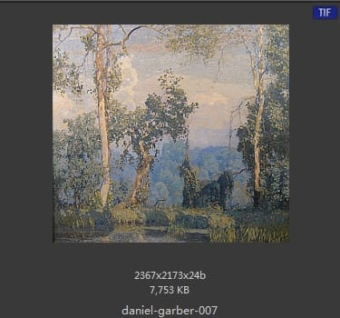 丹尼尔·盖博（Daniel Garber）
