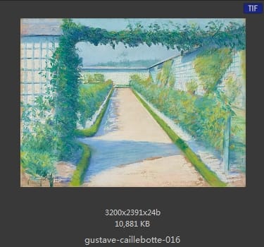 居斯塔夫·卡耶博特