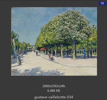 居斯塔夫·卡耶博特