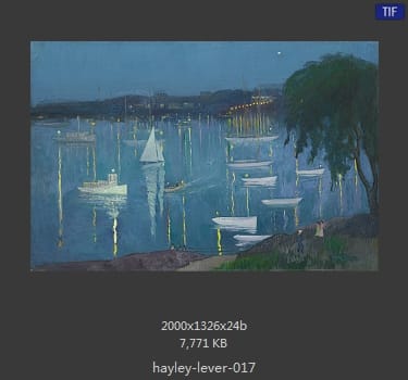 海利·利弗