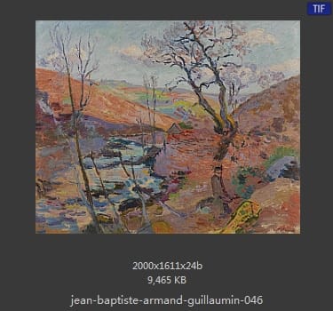 阿尔芒德·基约曼