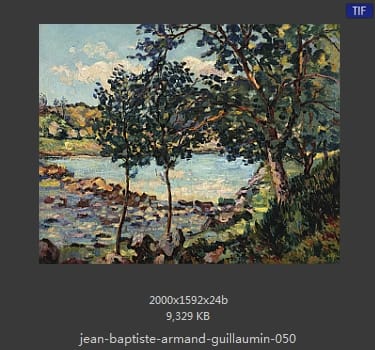 阿尔芒德·基约曼