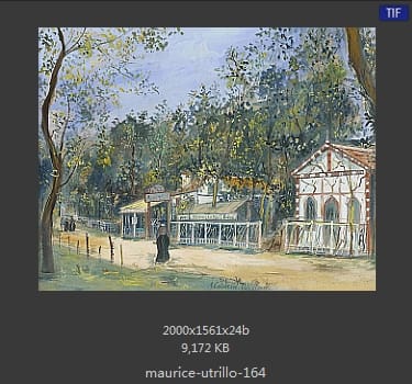 莫里斯·尤特里罗