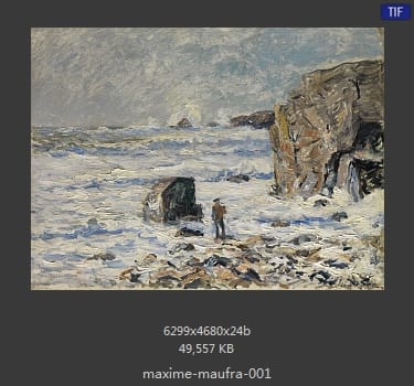 马克西姆·莫福拉