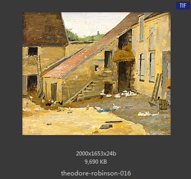 西奥多·罗宾逊