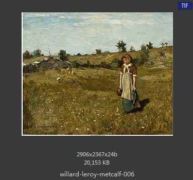 维拉德·勒若·麦特卡夫