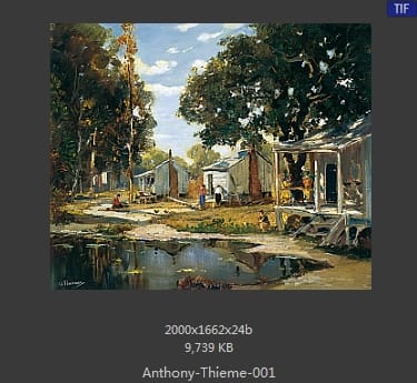 安东尼·提姆（Anthony Thieme）