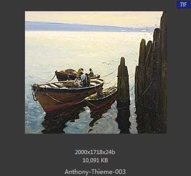安东尼·提姆（Anthony Thieme）