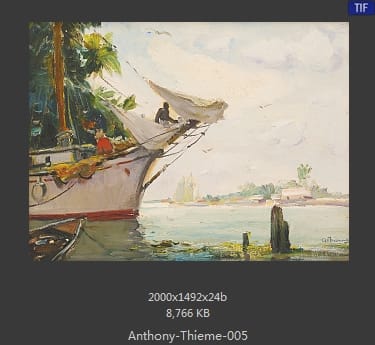 安东尼·提姆（Anthony Thieme）