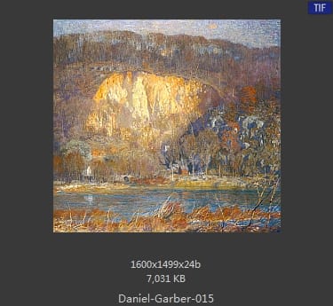 丹尼尔·盖博（Daniel Garber）