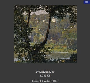 丹尼尔·盖博（Daniel Garber）