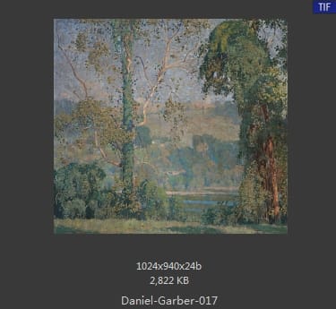 丹尼尔·盖博（Daniel Garber）