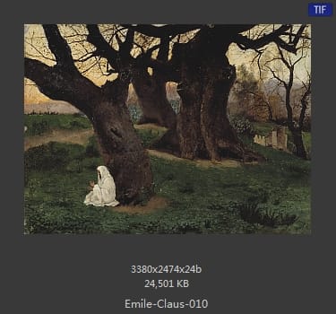 【比利时】埃米尔·克劳斯（Emile claus）