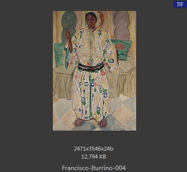 弗朗西斯科·伊图里诺（Francisco Iturrino）
