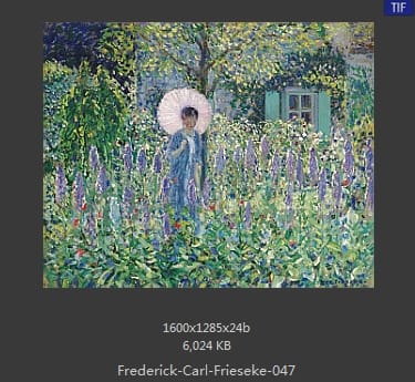 弗雷德里克·卡尔·弗里塞克