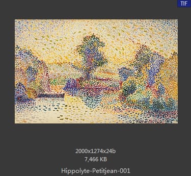 希波吕特·佩蒂金（Hippolyte Petitjean）