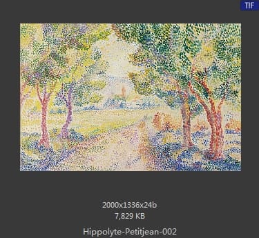 希波吕特·佩蒂金（Hippolyte Petitjean）