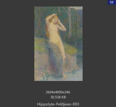 希波吕特·佩蒂金（Hippolyte Petitjean）