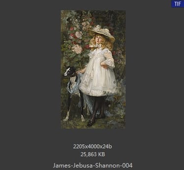 詹姆斯·杰布萨·香农（James Jebusa Shannon）