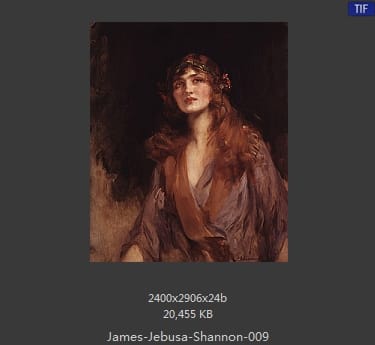 詹姆斯·杰布萨·香农（James Jebusa Shannon）