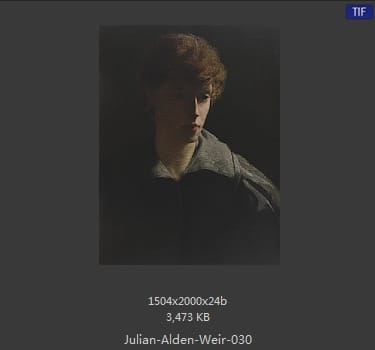 【美国】朱利安·奥登·威尔(Julian Alden Weir)