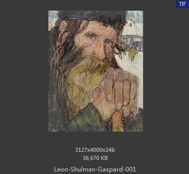莱昂·舒尔曼·加斯帕德（Leon Shulman Gaspard）