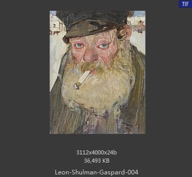 莱昂·舒尔曼·加斯帕德（Leon Shulman Gaspard）