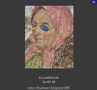 莱昂·舒尔曼·加斯帕德（Leon Shulman Gaspard）
